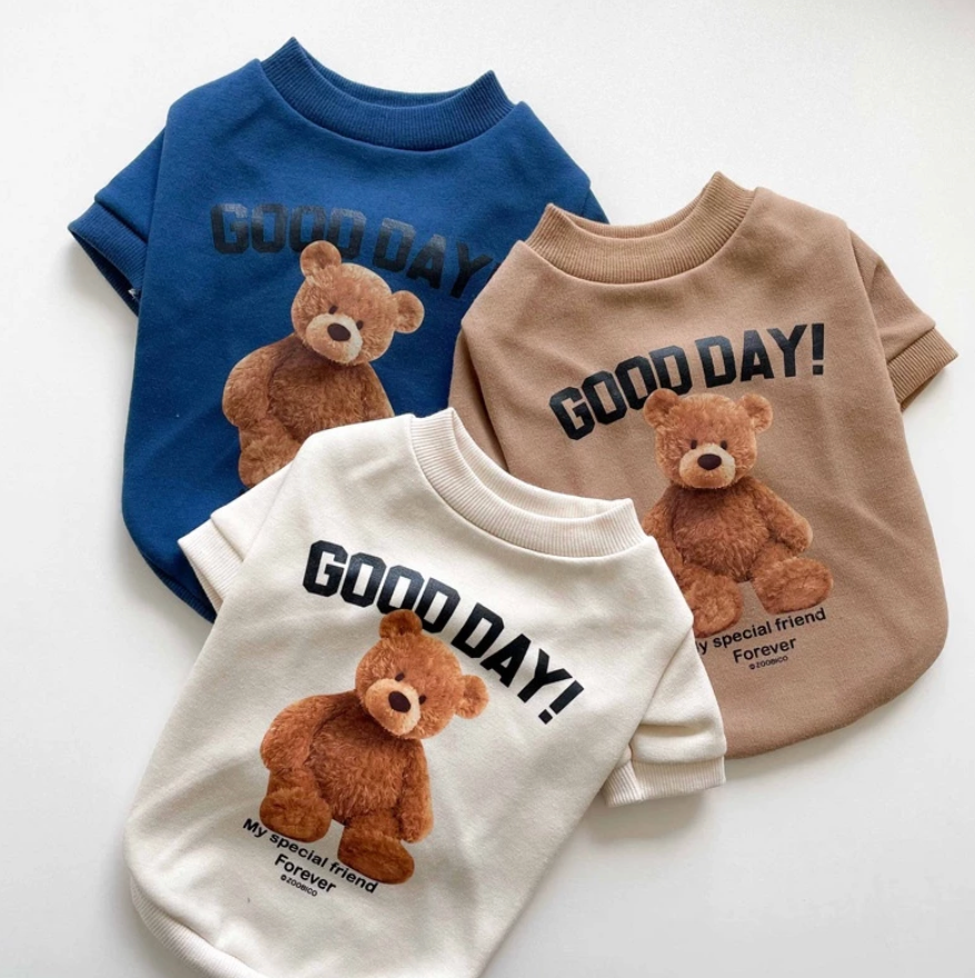 Teddy bear Pet Sweater - Kimbowny Petstore