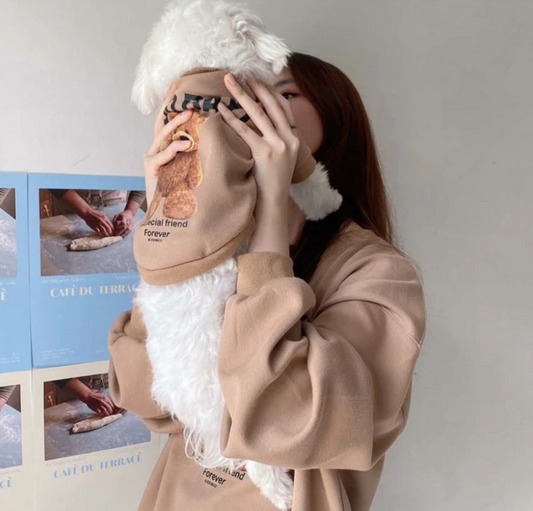 Teddy bear Pet Sweater - Kimbowny Petstore