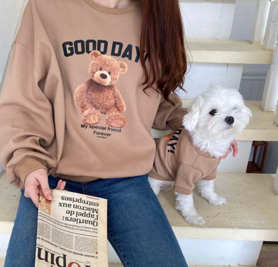 Teddy bear Pet Sweater - Kimbowny Petstore