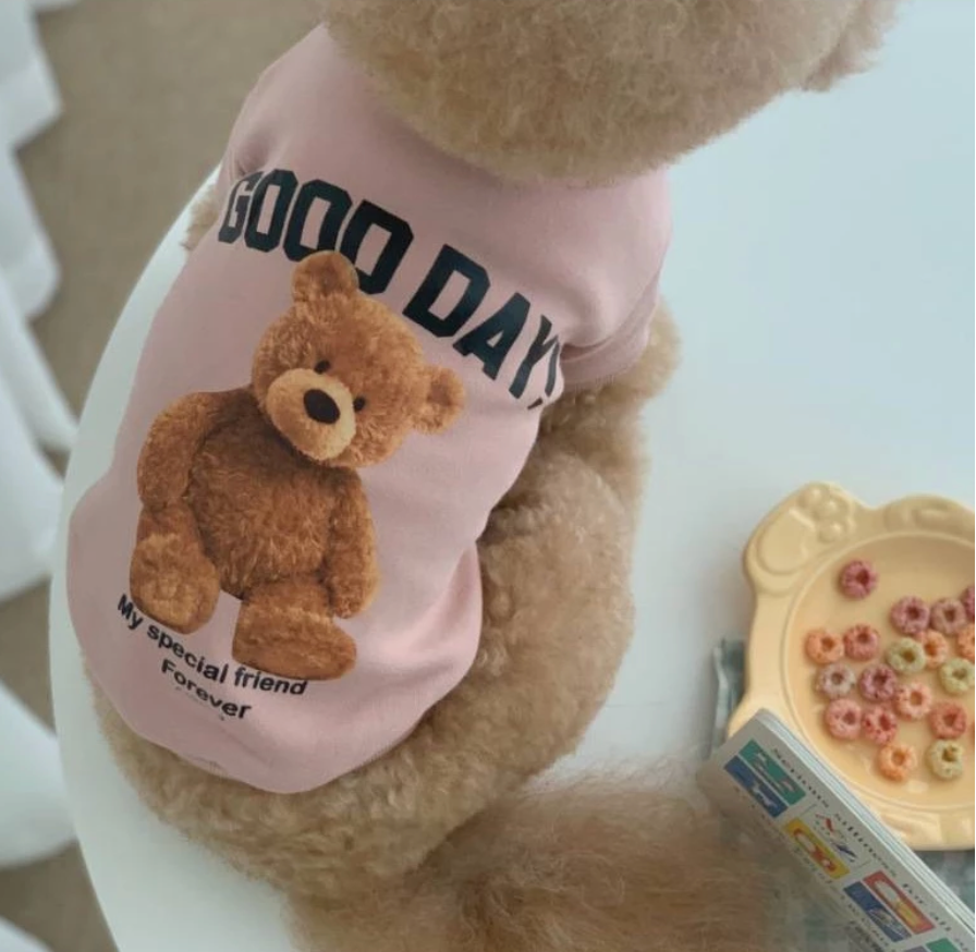 Teddy bear Pet Sweater - Kimbowny Petstore