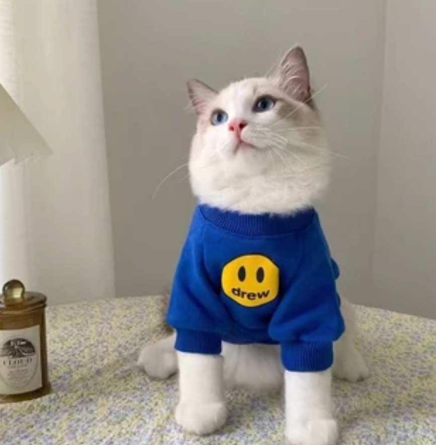 Smiley Face Pet Sweatshirt - Kimbowny Petstore