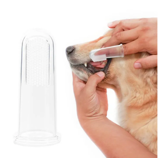 Pet Finger Toothbrush - Kimbowny Petstore