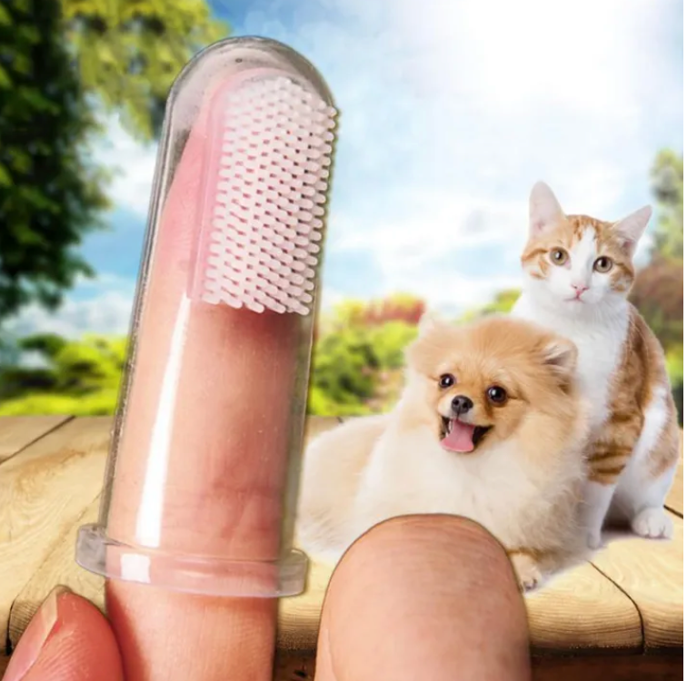 Pet Finger Toothbrush - Kimbowny Petstore