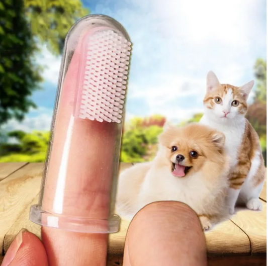Pet Finger Toothbrush - Kimbowny Petstore