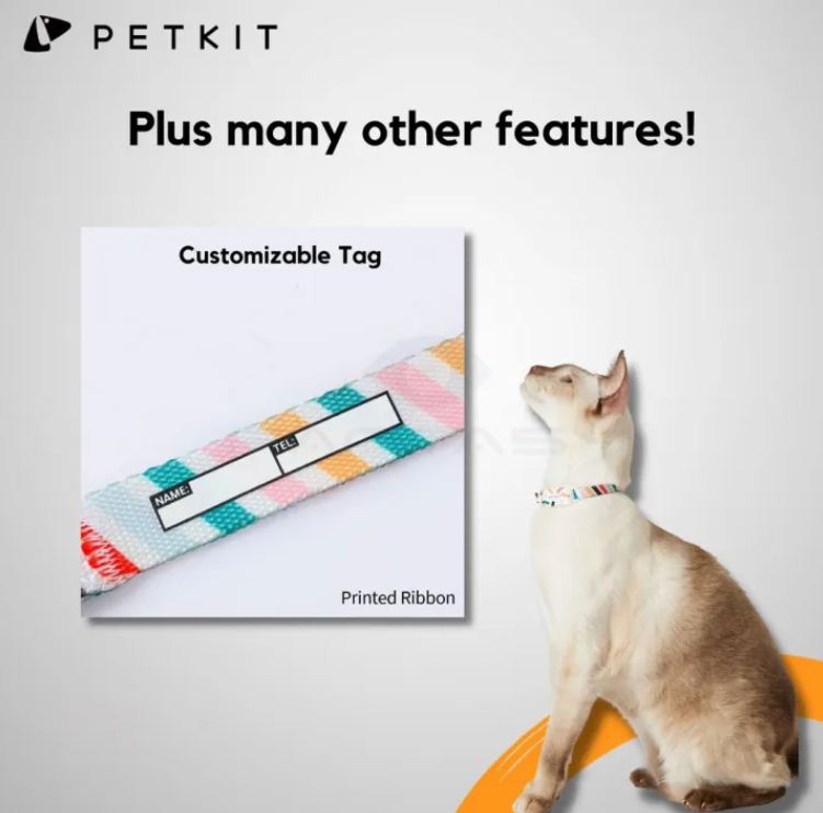 Smart Cat Collar - Kimbowny Petstore