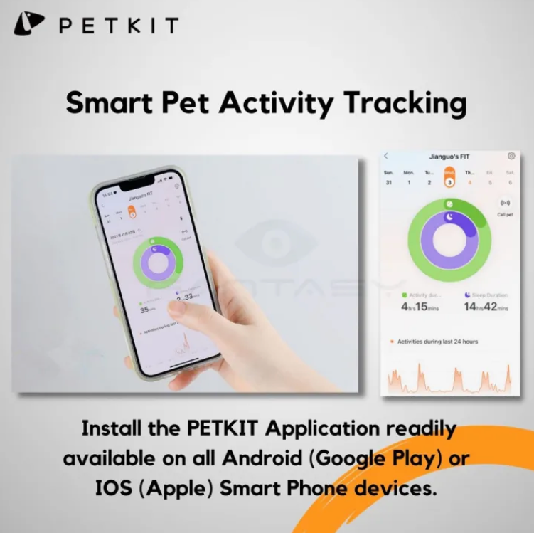 Smart Cat Collar - Kimbowny Petstore