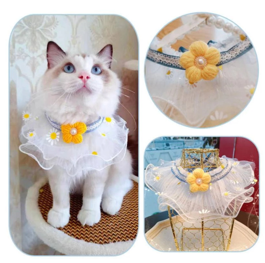 Pet Lolita Lace Collar - Kimbowny Petstore