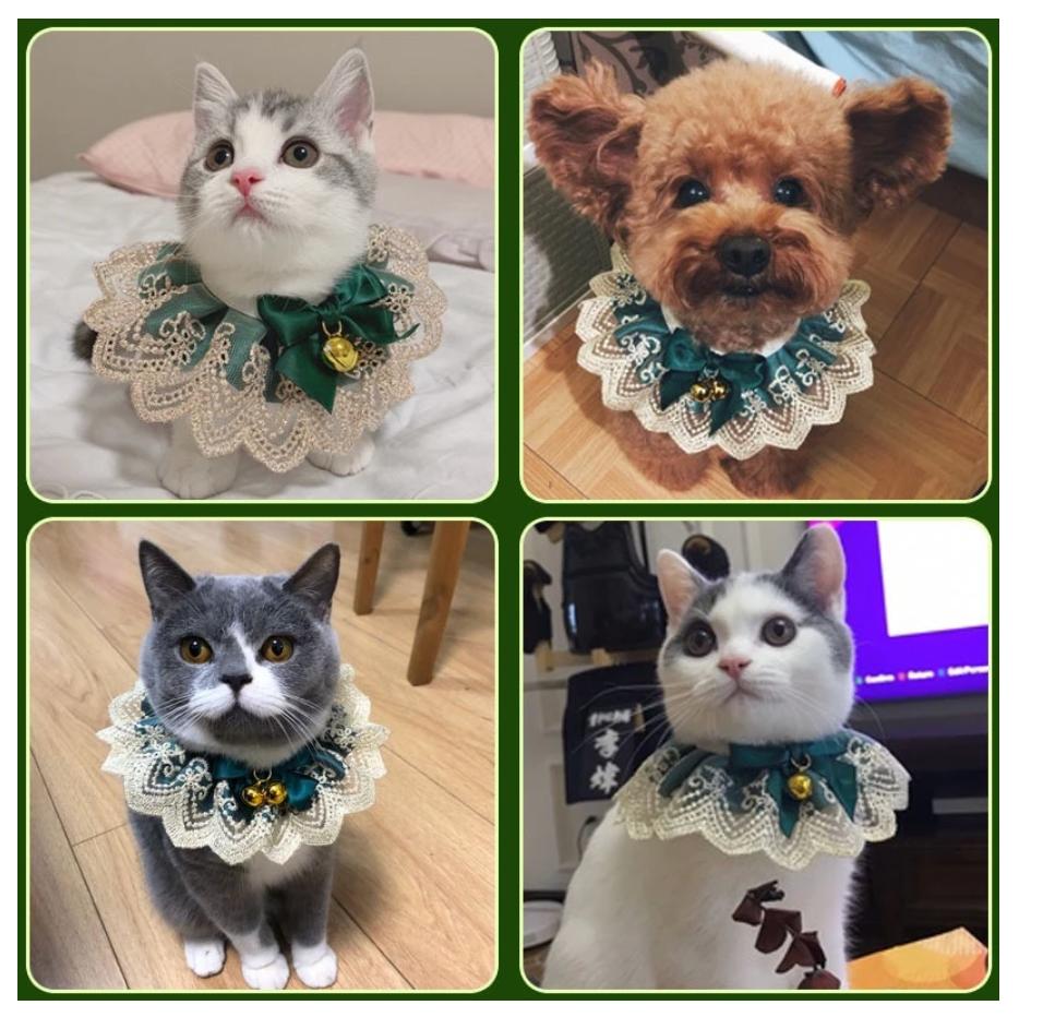 Pet Lolita Lace Collar - Kimbowny Petstore