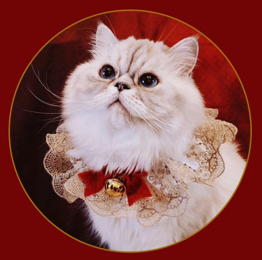 Pet Lolita Lace Collar - Kimbowny Petstore