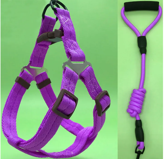 Dog Harness  Leash Set - Kimbowny Petstore