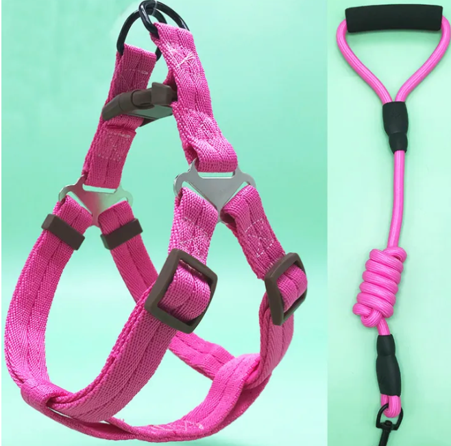 Dog Harness  Leash Set - Kimbowny Petstore