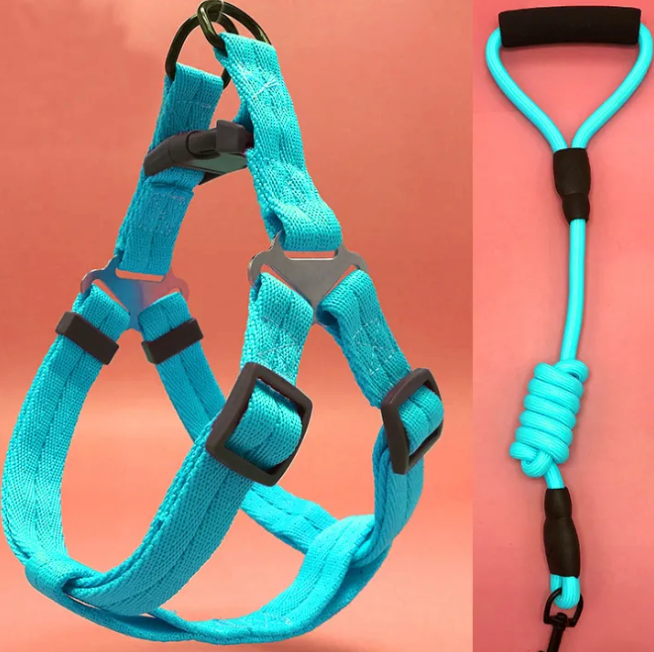 Dog Harness  Leash Set - Kimbowny Petstore