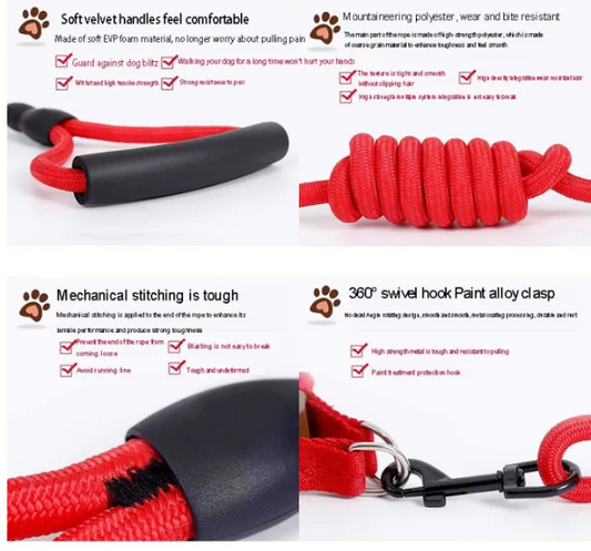 Dog Harness  Leash Set - Kimbowny Petstore