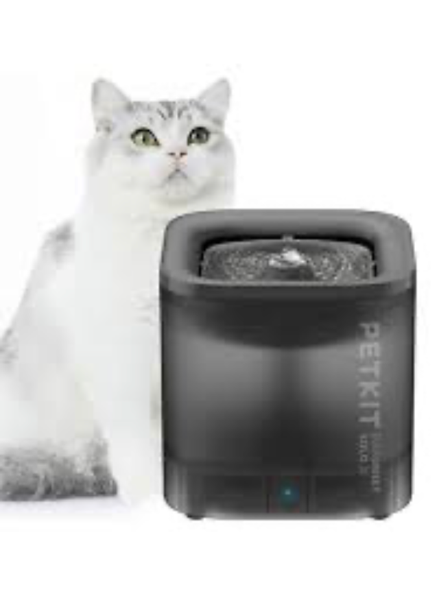 Drinking Fountain - Kimbowny Petstore