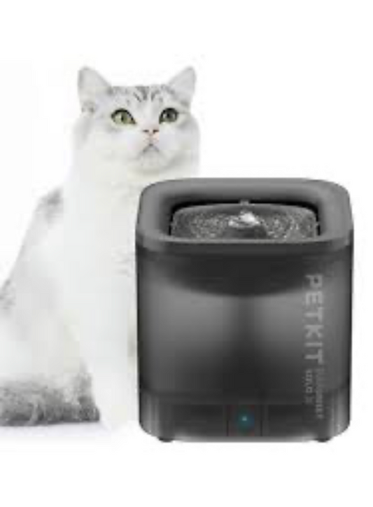 Drinking Fountain - Kimbowny Petstore