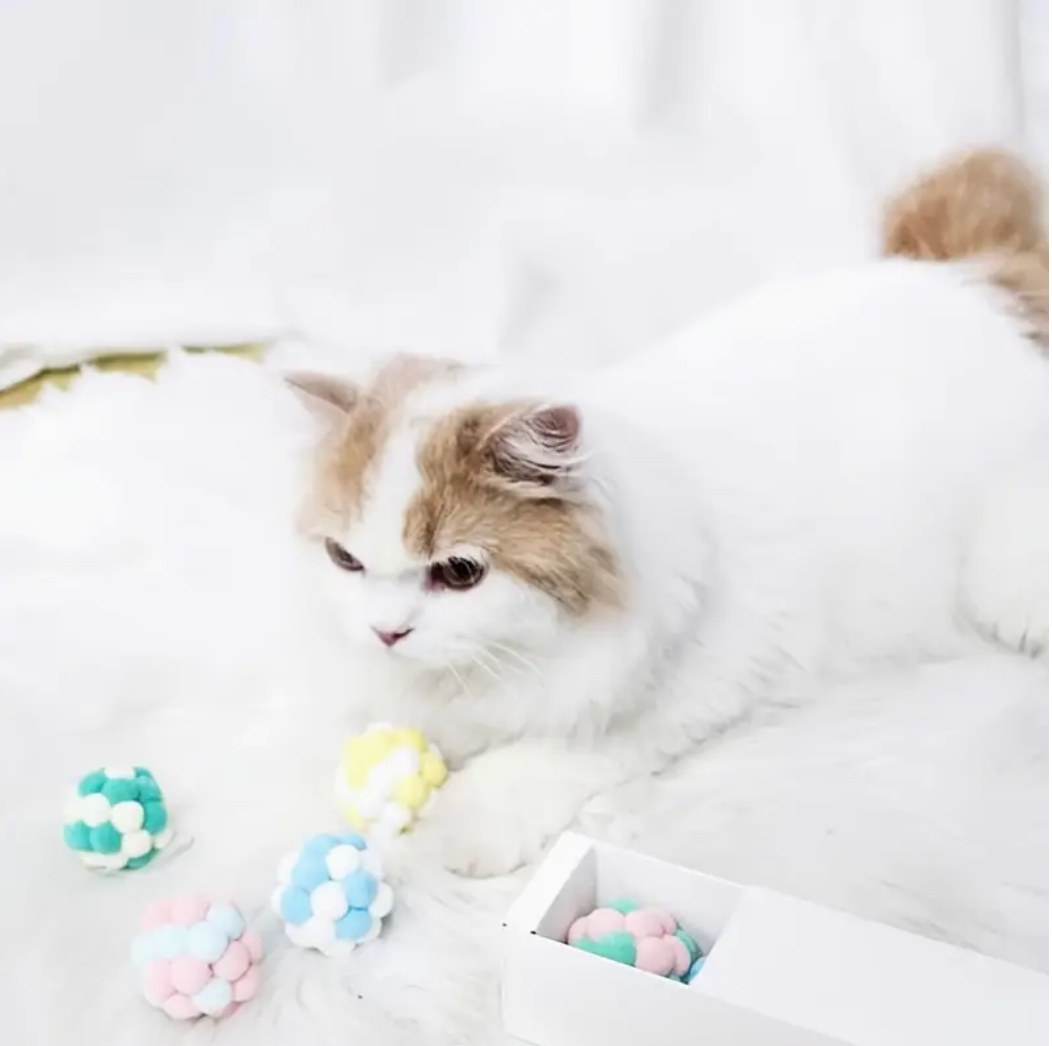 6pcs Rainbow Plush Cat Toy Balls, Teeth Grinding Cat Chew Toys With Built-in Bell, Cat Teaser Toy Pet Supplies