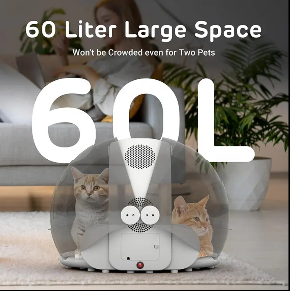 Pet hair Dryer - Kimbowny Petstore