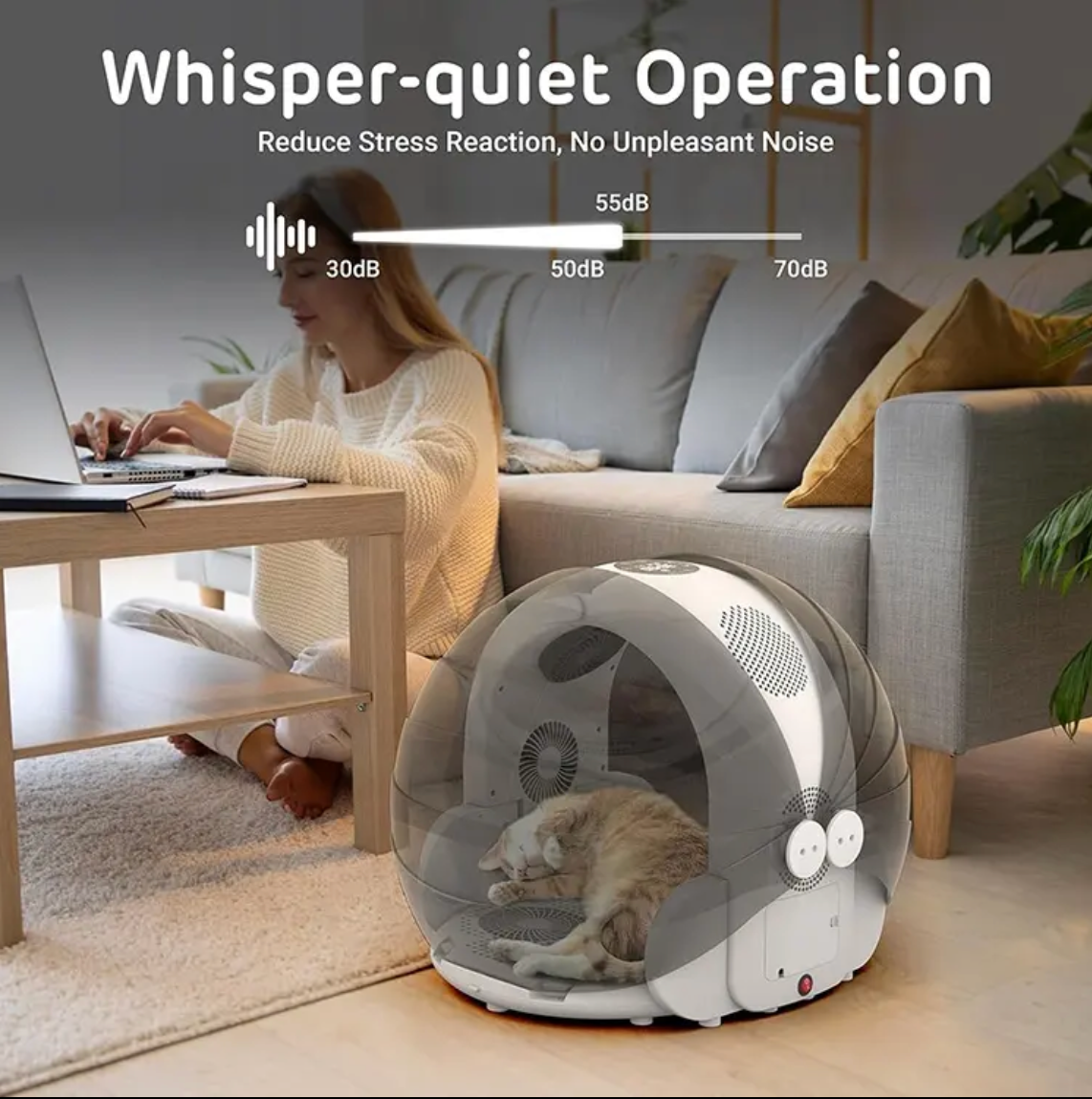 Pet hair Dryer - Kimbowny Petstore