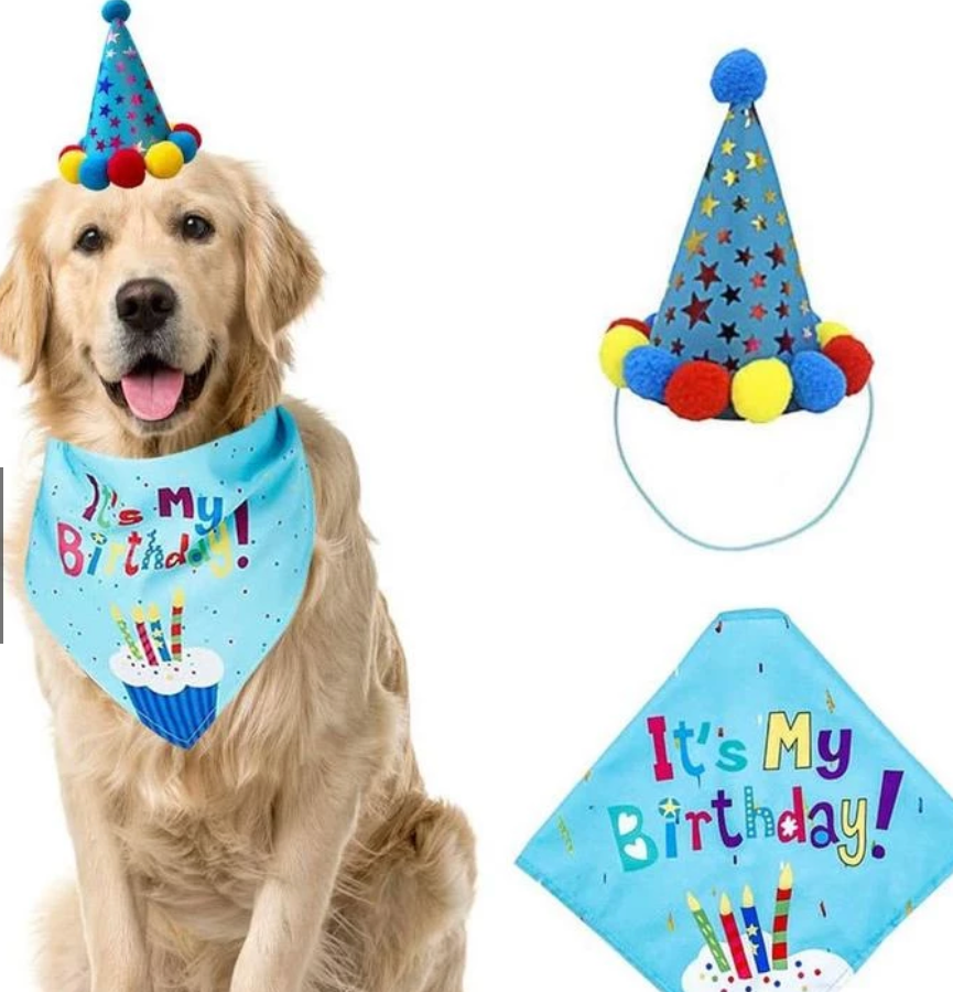 Pet Birthday Items - Kimbowny Petstore