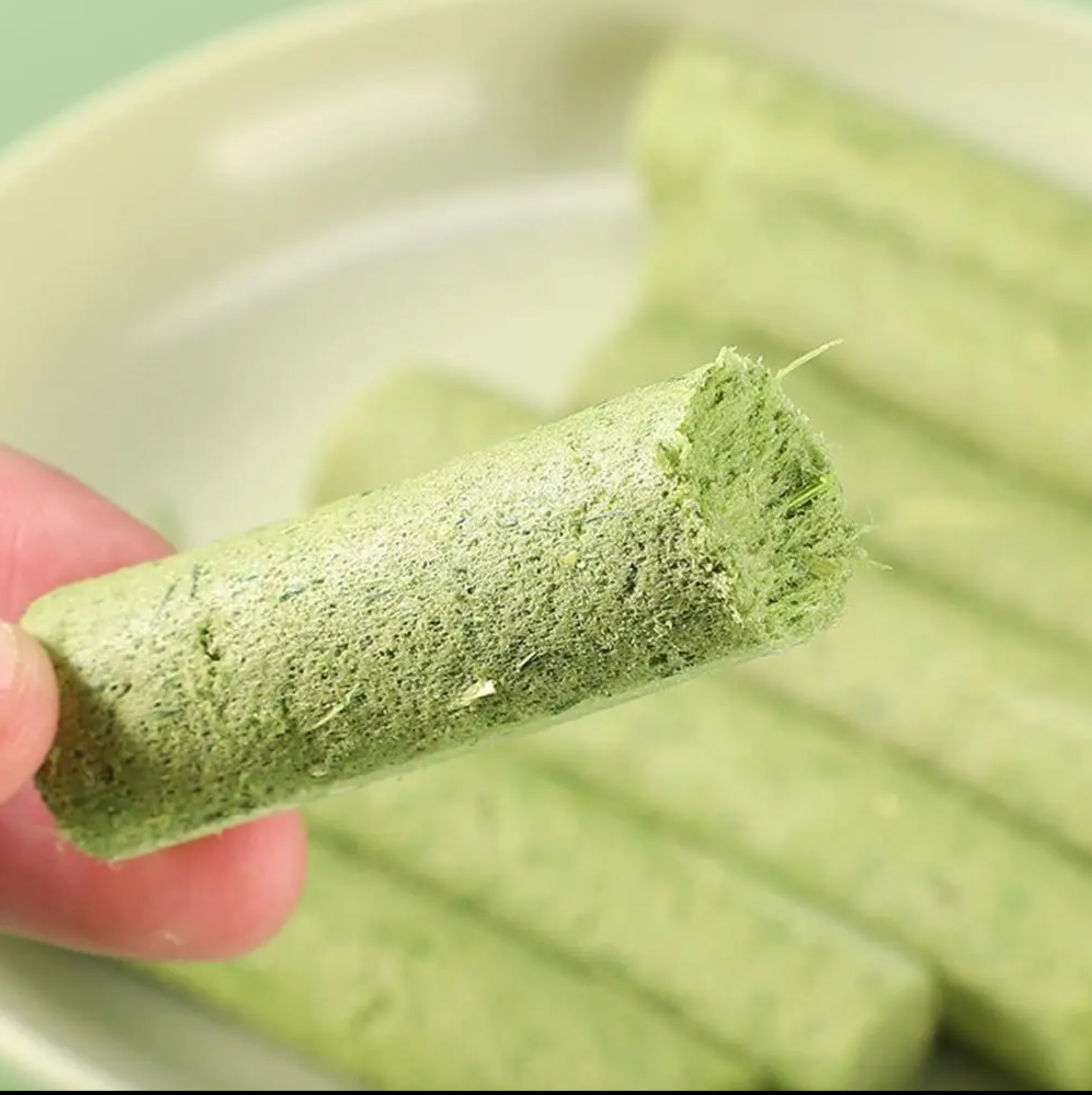 Cat Grass - Kimbowny Petstore