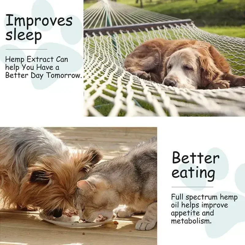 Se82dfdf542a640b38e4044cc6a1572aaP