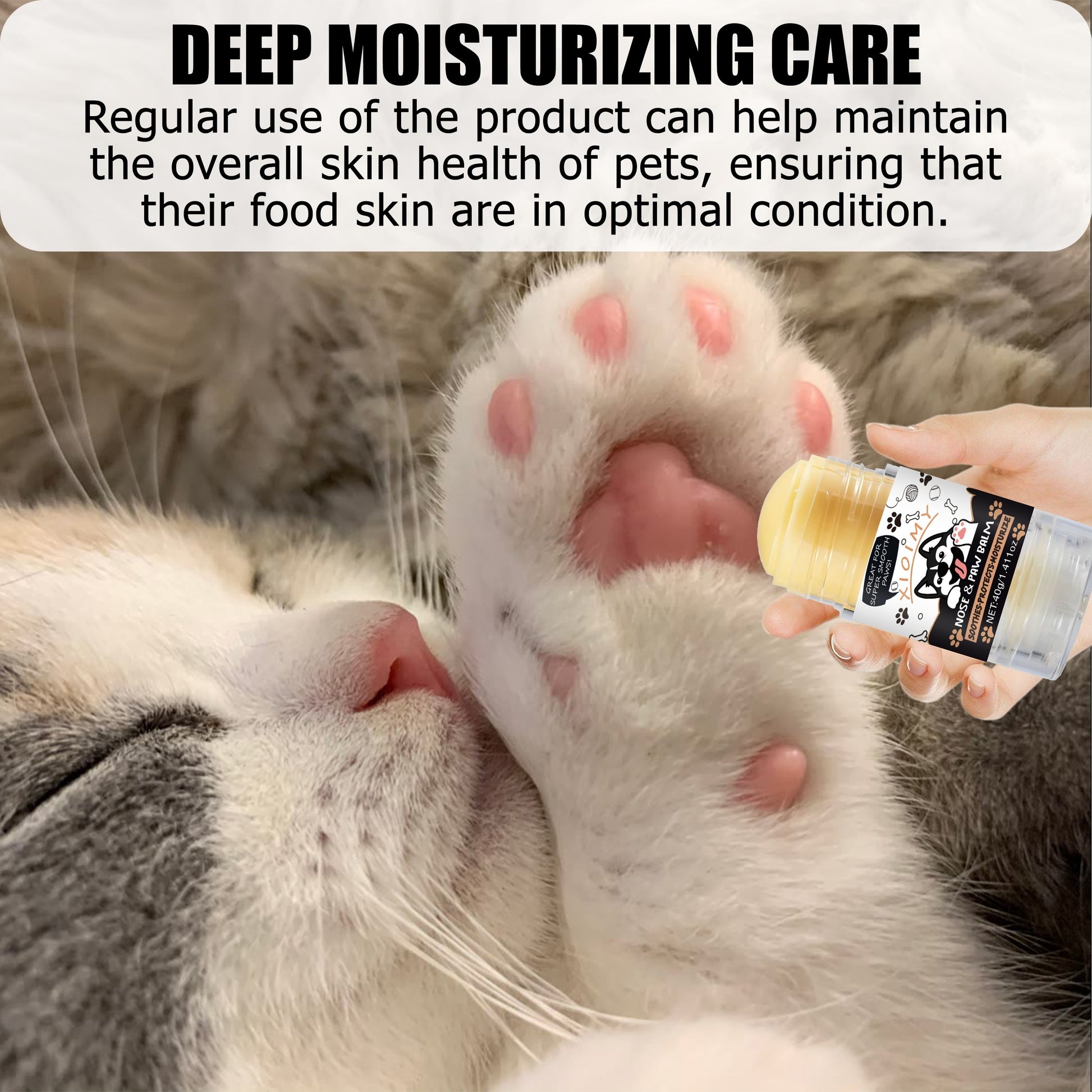 a1110a65-dad0-4fbe-bd08-848a5e5eb1b6