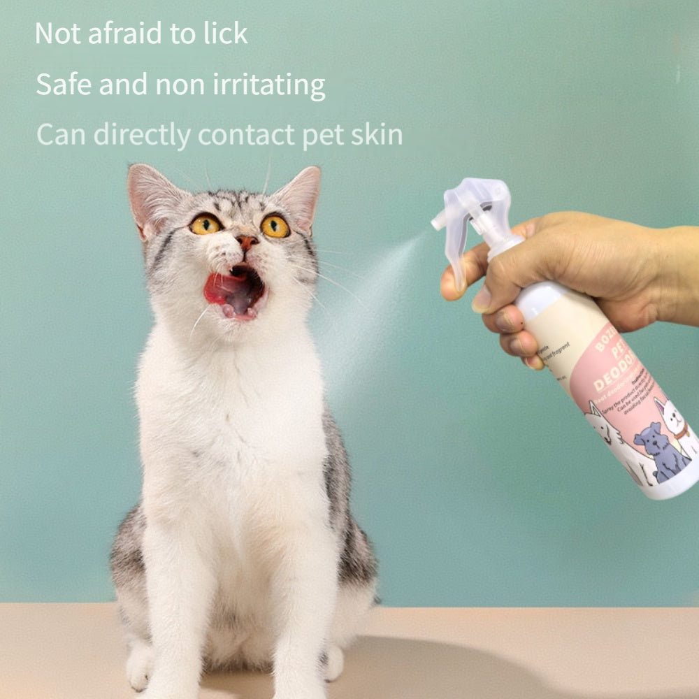 ae6137f8-230b-4a40-a6af-722ced9188fe_1000x1000