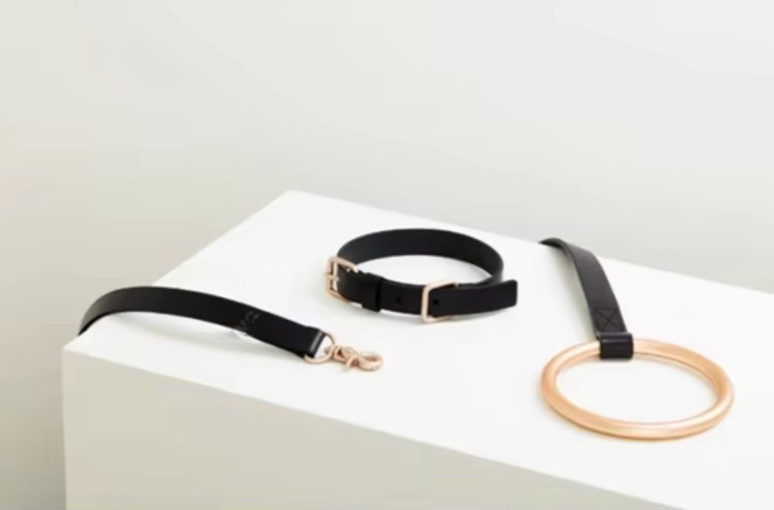 Luxury Leather Pet Collar & Leash Set - Kimbowny Petstore