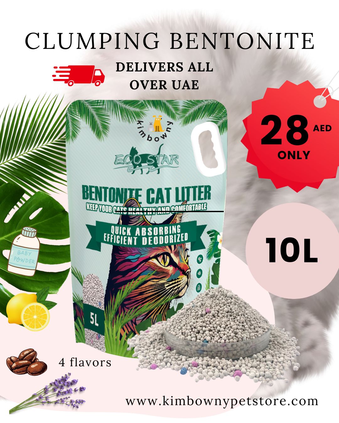 EcoStar Clumping Bentonite