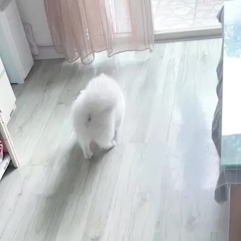 f685dabc7e3bae2271a2d7e2f12a815f0570144d