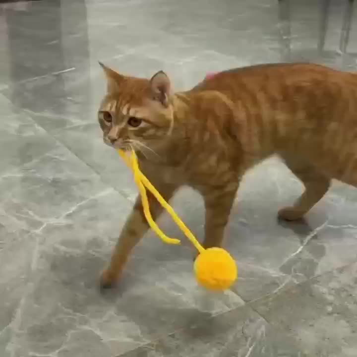 fc0f08026ae6797005654d1f94924ec56759f900