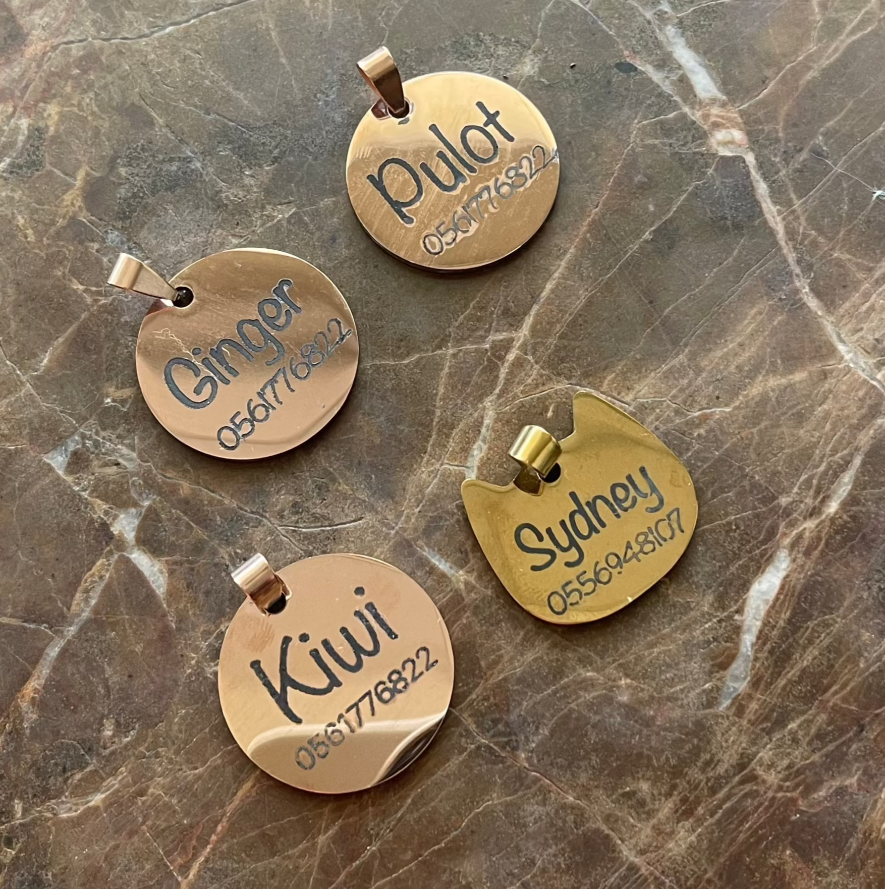 Laser Engraved for Life - Kimbowny Petstore