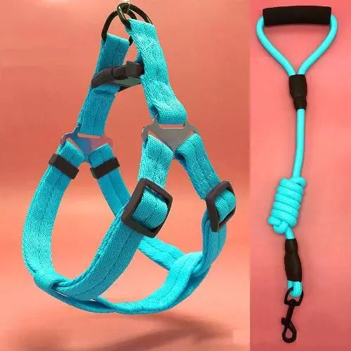 Pet Leash Dog Harness & Denim Leash for Small/Medium/Large Dogs Pet Adjustable Leash Belt Traction