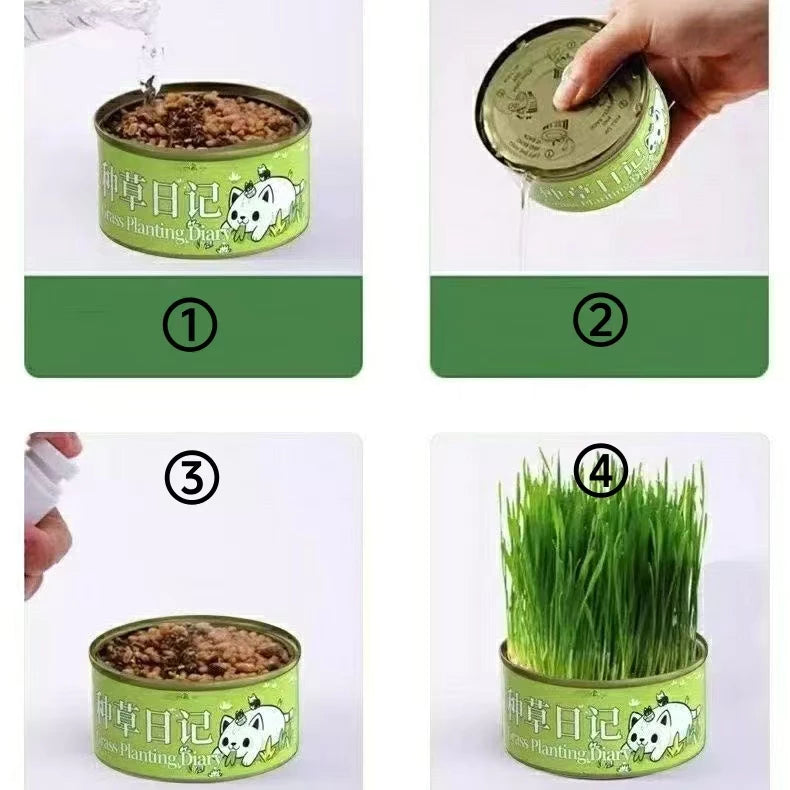 1 can of Organic Cat Grass Seeds Can Be Grown With Or Without Soil Cat Grass Treats seeds