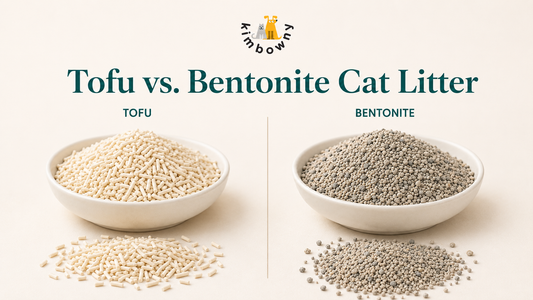 Tofu vs Bentonite Cat Litter UAE – Side by Side Comparison – Kimbowny Petstore