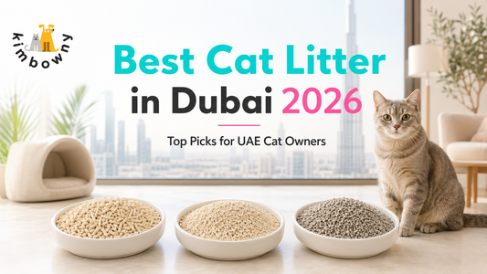 Best Cat Litter in Dubai 2026 – Top Picks for UAE Cat Owners