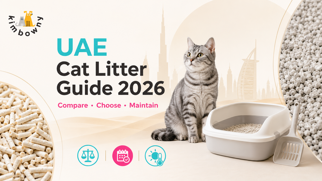 Cat Litter Guide for UAE Owners – Best Picks, Odor Control & How Often to Change