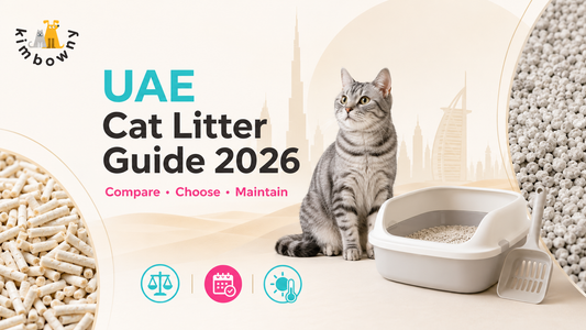Cat Litter Guide for UAE Owners – Best Picks, Odor Control & How Often to Change