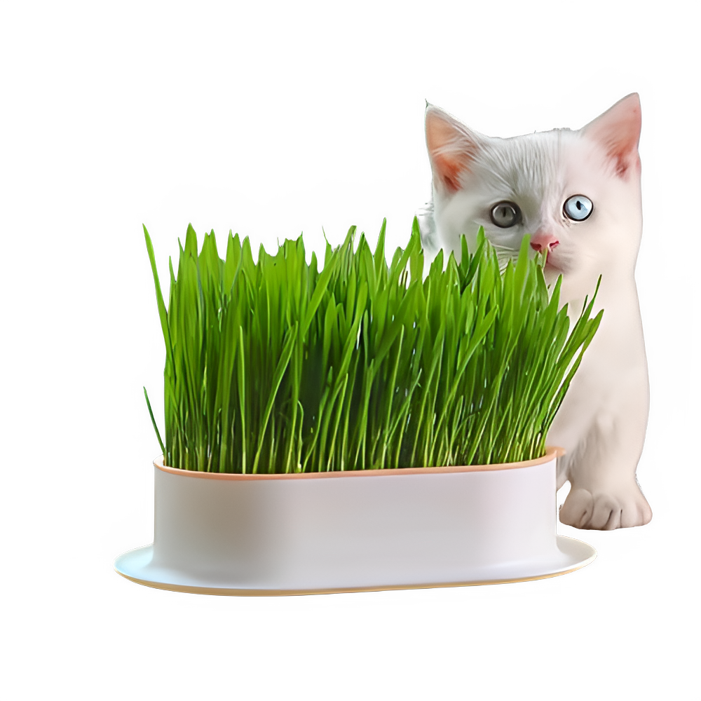 02b527e7-dbdb-4e49-b39a-2644ac162ecc