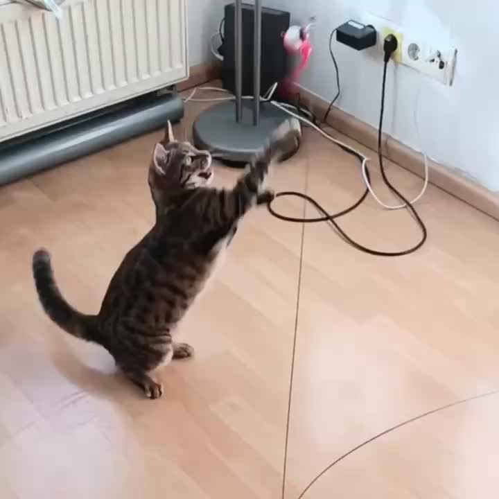 049c694826401b8054b36ce278c22e269bc76f8c