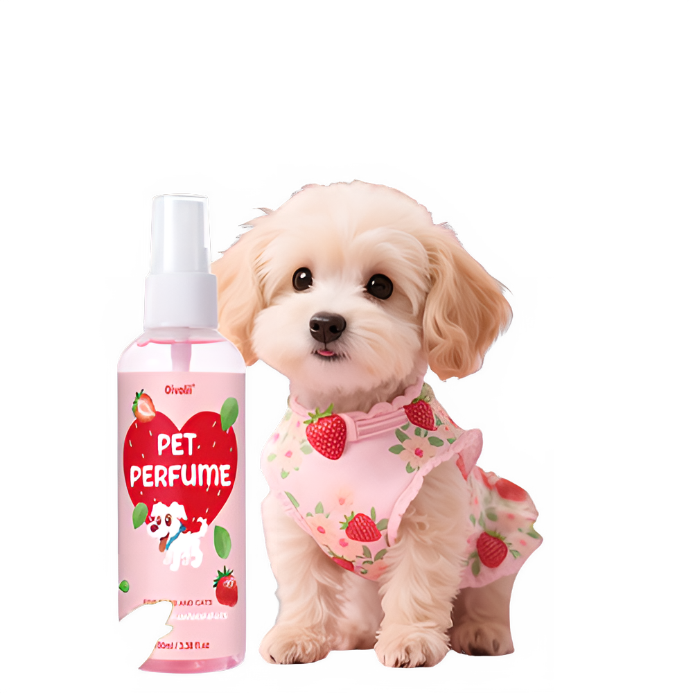 04b24059-ad90-4edb-90a2-da8bde456d0f