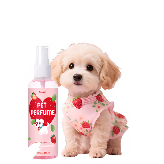 04b24059-ad90-4edb-90a2-da8bde456d0f