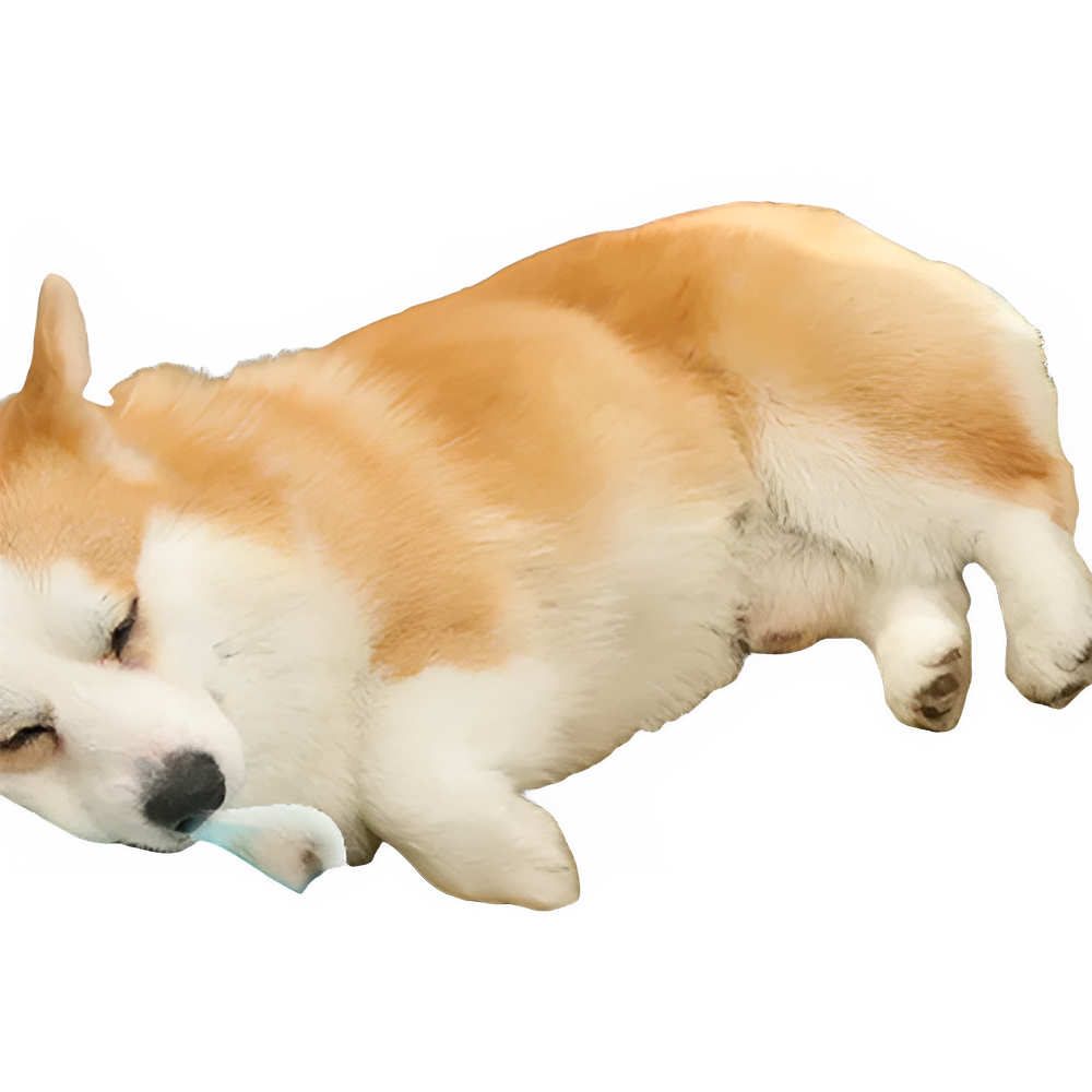 073ab564-c38d-432a-8dbf-12f99ea43b2c