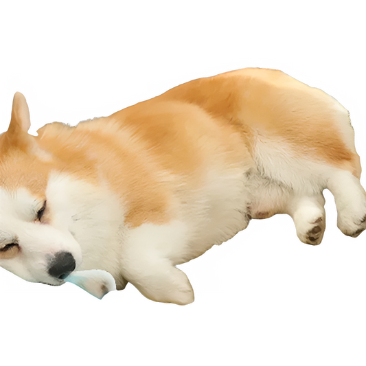 073ab564-c38d-432a-8dbf-12f99ea43b2c