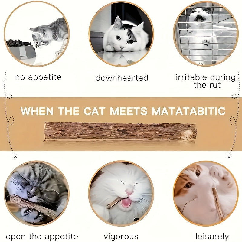 09f4dd3d-952e-4e87-bc87-e35ec5fb1f2e