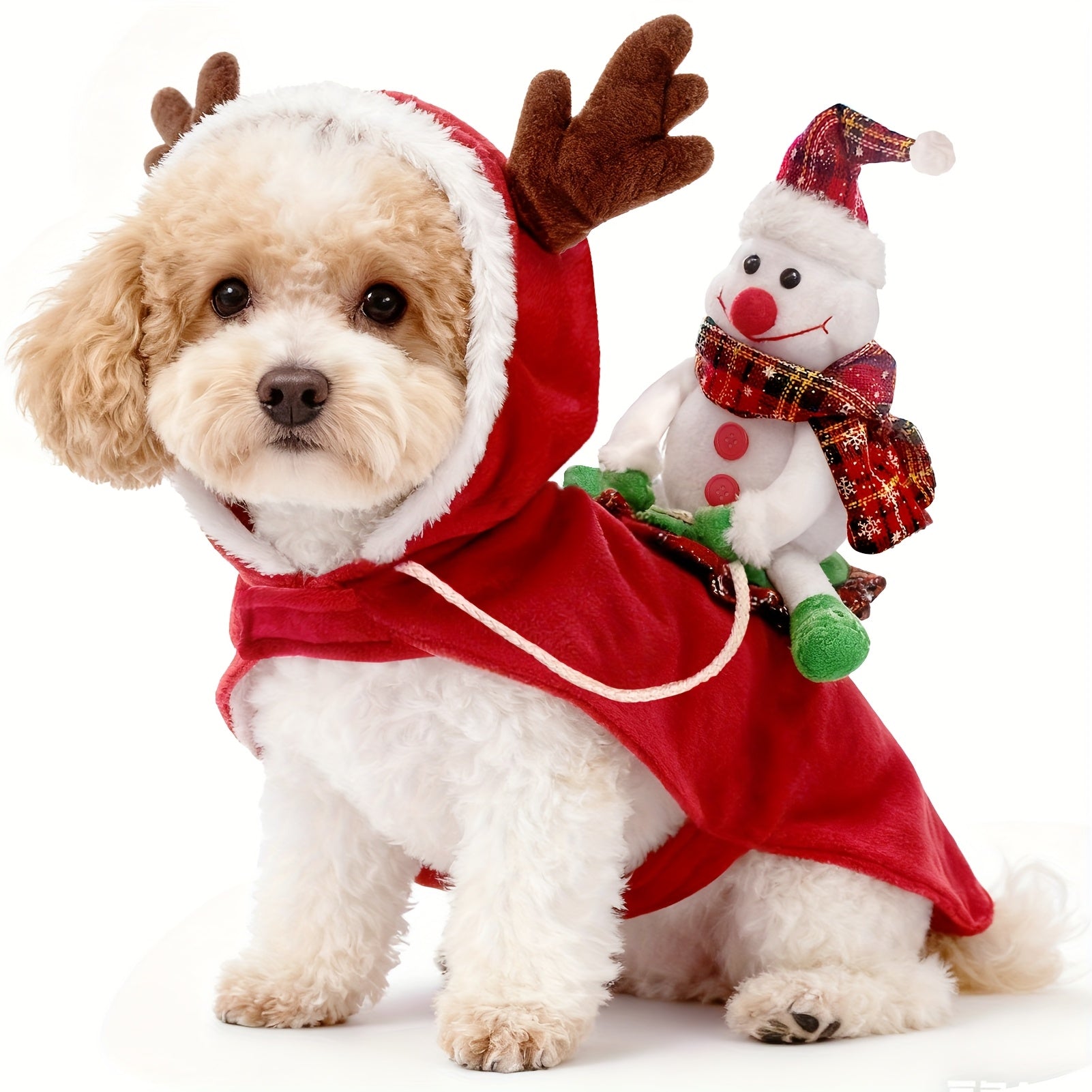 1a8d7281-50f0-4ff6-9936-51e560affbbe