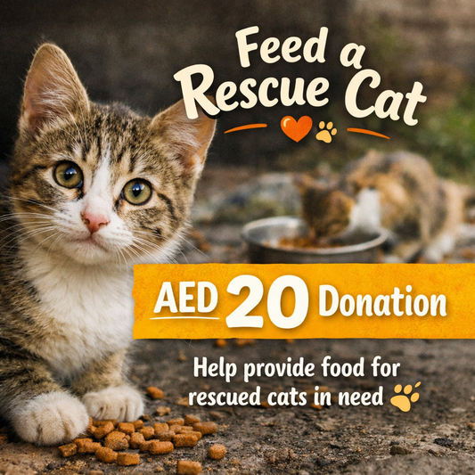 Feed a Rescue Cat – AED 20 Donation - Kimbowny Petstore