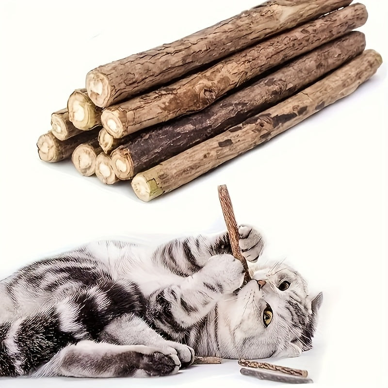 2a03c796-2521-404f-8afe-3afd71e1da84