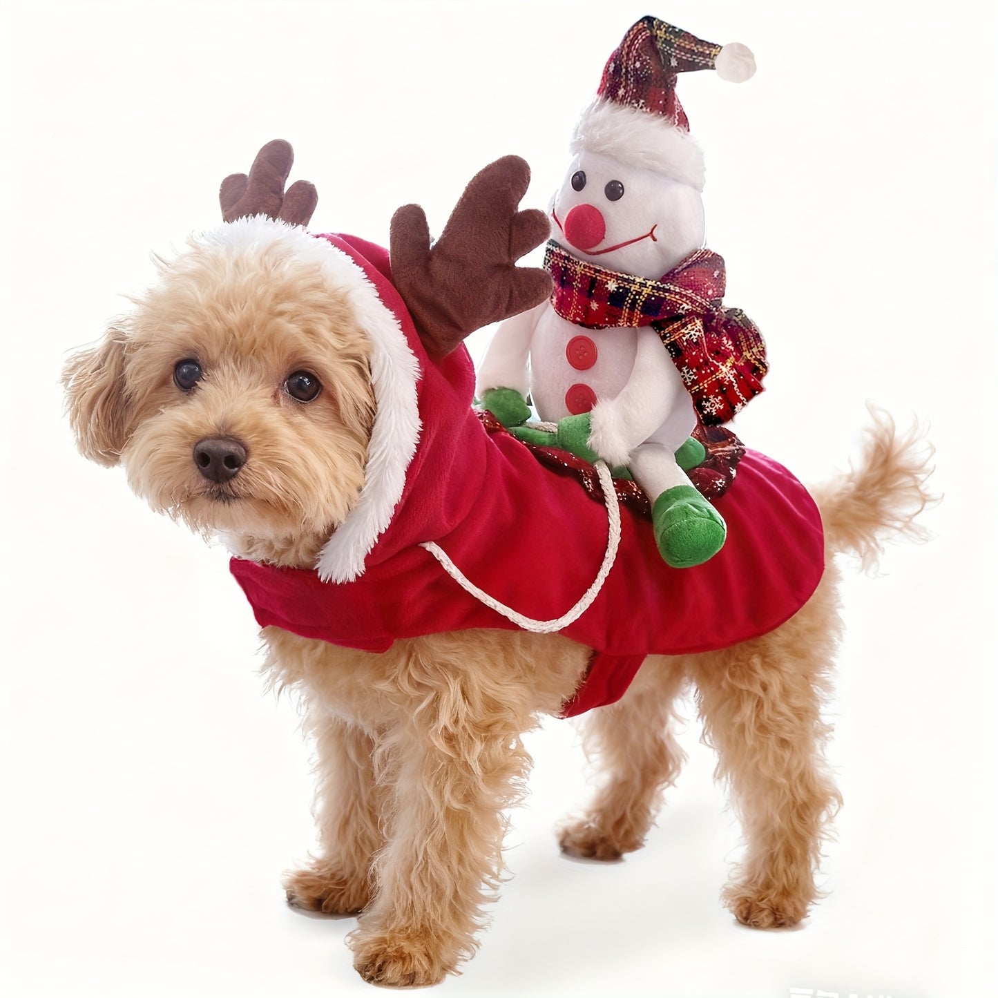 325e2a54-6c80-49ae-a5f6-6fbc191560c4