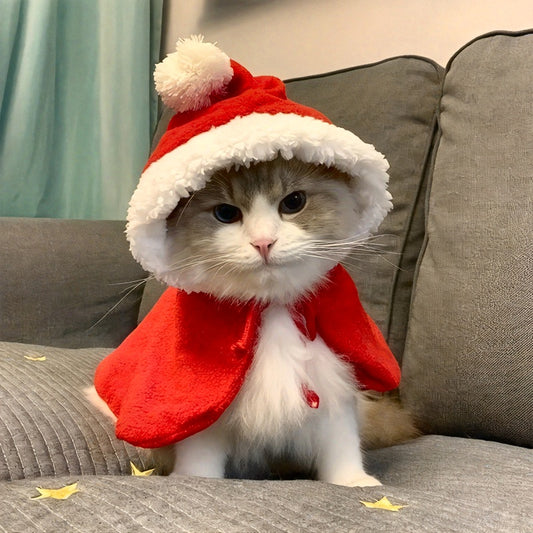 36e89fb8726278041b305171f7dfa7e1